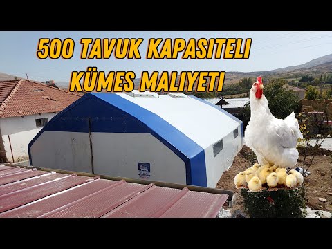 500 TAVUK KAPASİTELİ KÜMES MALİYETİ! @ #tavukkümesi #gezentavuk #lohman #yumurta#tavukçiftliği#tavuk