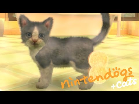 汚れたネコを綺麗にしたい大作戦｜nintendogs + cats