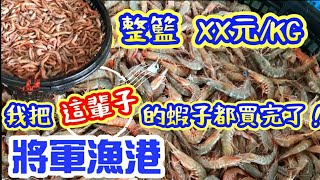 【漁港日常】40公斤蝦子堆成山！遇到佛心闆娘？原價150直接對半砍，這價格你敢信？！🦐 #嘉義 #海鮮拍賣 #fish #taiwanvlog