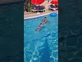 Grandson In His Budgie Smugglers Learning To Snorkel 