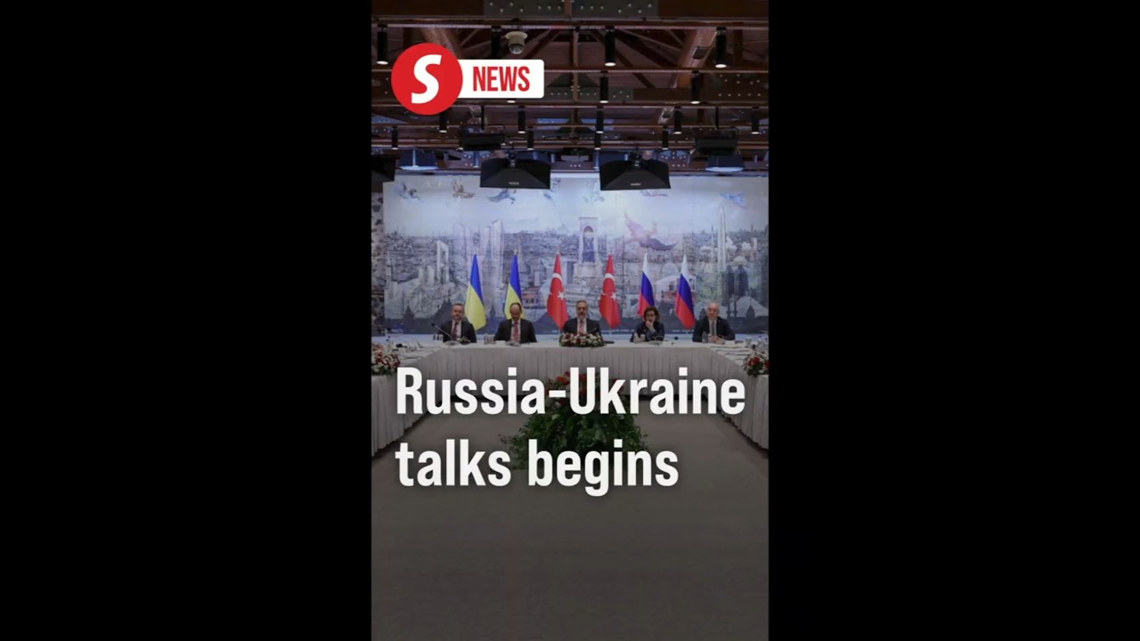 Russia-Ukraine peace talks in Turkiye begins