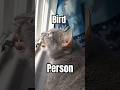 Bird Whisperer 3 Me too