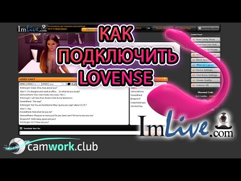 imlive review