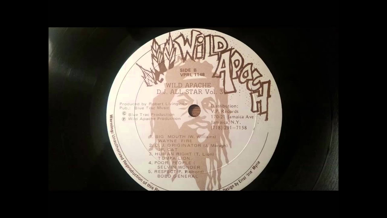 VARIOUS (SUPER CAT、CHAKA DEMUS) / WILD APACHE D.J. ALL STAR VOL