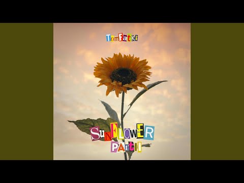 TomFatKi - 太陽花 Part II