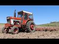 INTERNATIONAL 1466 Tractor Field Cultivating