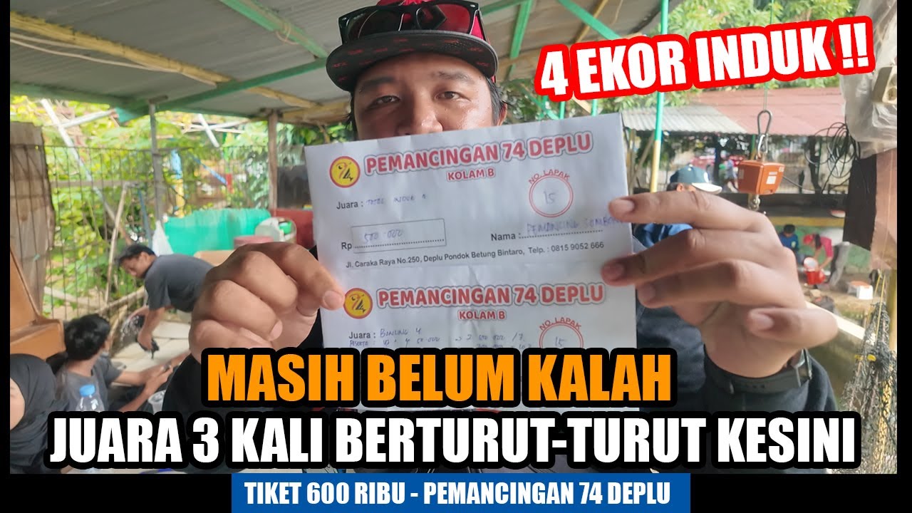 LAGI-LAGI JUARA DI PEMANCINGAN 74‼️KALI INI BORONG 4 EKOR INDUK‼️