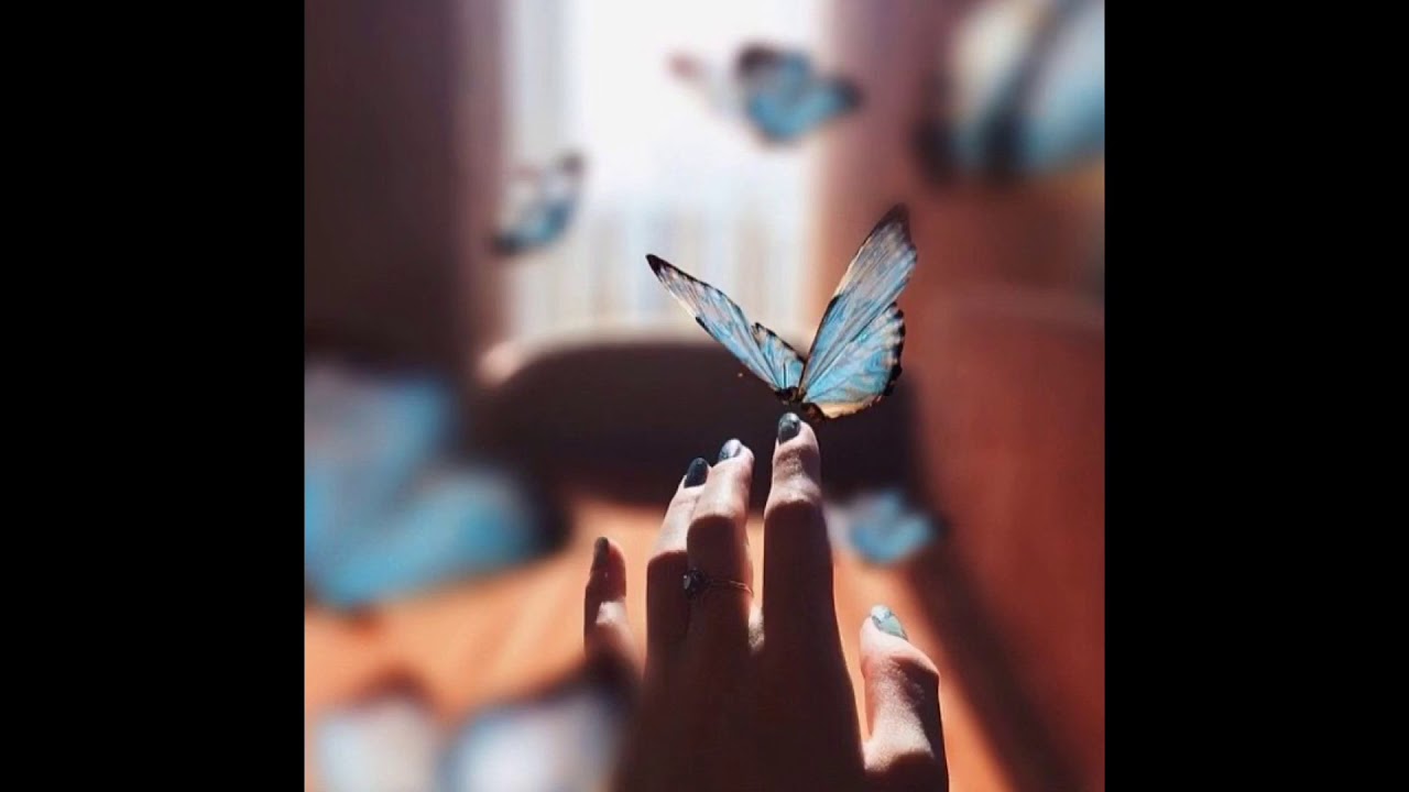 Katy Perry - Wide Awake (slowed)