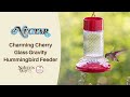 Charming cherry glass gravity hummingbird feeder  nectar bird feeders  natures way bird products