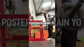 Leg Day - Quads and Posterior Chain