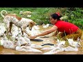 Food makes a living : Women searching for food near mountains find ducks and fish .