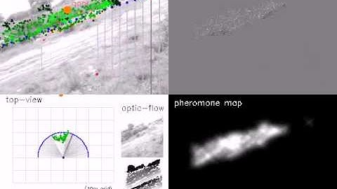 Swarm Cognition for Multiple Covert Attention Modulate by Action Selection on Off-Road Robots, Run 1