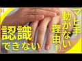 【脳卒中片麻痺を知る】麻痺側上肢が動かない理由① 麻痺手を認識できない・注意が向いていない