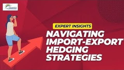 Preparing for the Unforeseen   A Guide for Importers and Exporters   Import Export Hedging Strategy