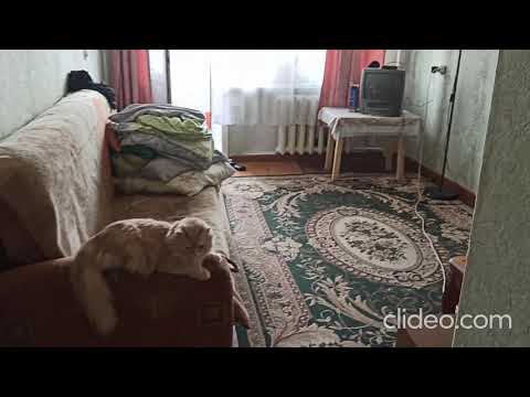 Коммунистический пр-кт 160