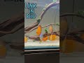 DIY Aquarium stand