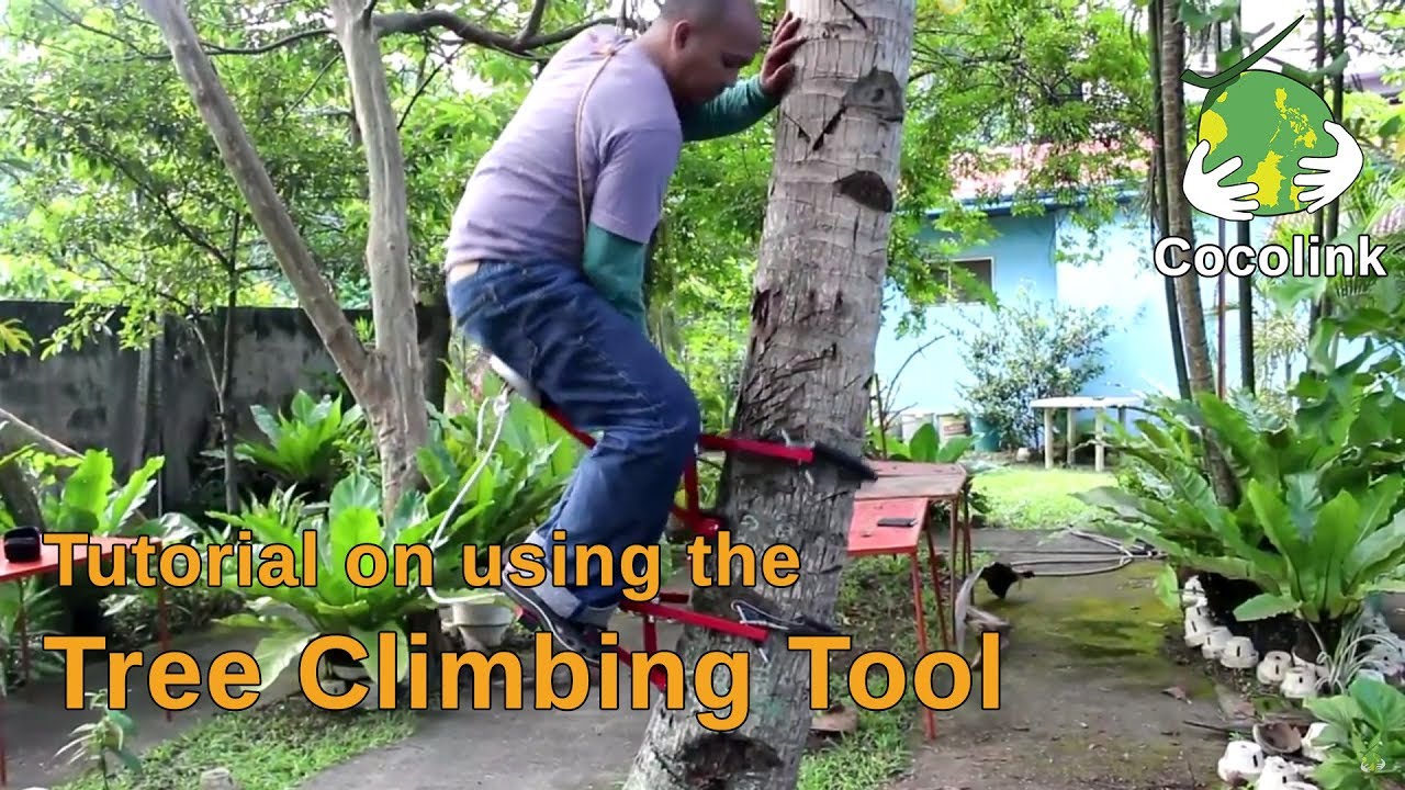 Tutorial on using the Tree Climbing Tool 