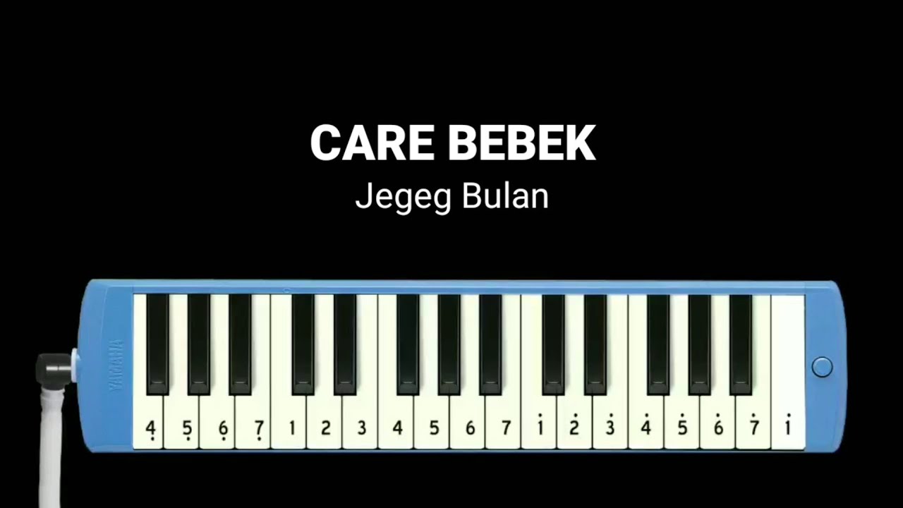 Not Pianika Care Bebek
