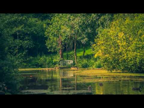 [簡譜] 遺失者 - Huevo蛋總