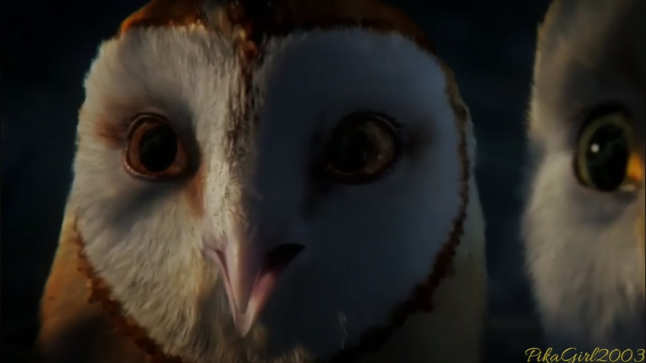 [Legend of the Guardians] Kludd - Enemy {Imagine Dragons} (Edit)