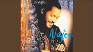 Touch of Heaven - Najee