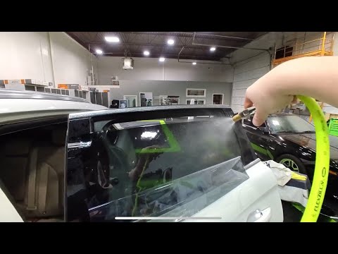Tint Only Back Windows