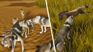 NEW Mexican Gray Wolf & Coyote ADDED, Latching & Dodging Mechanic Update | Sonora