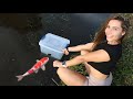 Girl Catches Colorful Fish For My Massive Fish Collection!!