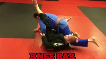 Knee Shield / Z Guard - 4 Bottom Attacks (Kimura , Kimura Sweep, Knee Bar,, Deep Half)