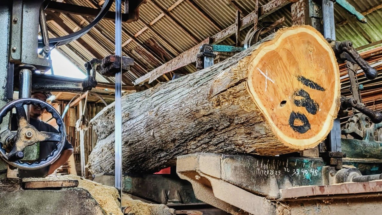 find super teak wood that is good for use in luxury furniture