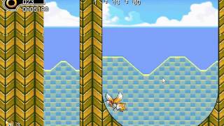 Ultimate Flash Sonic