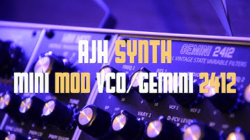 AJH Synth -Mini MOD VCO/Gemini 2412 SEM Filter in Techno eurorack