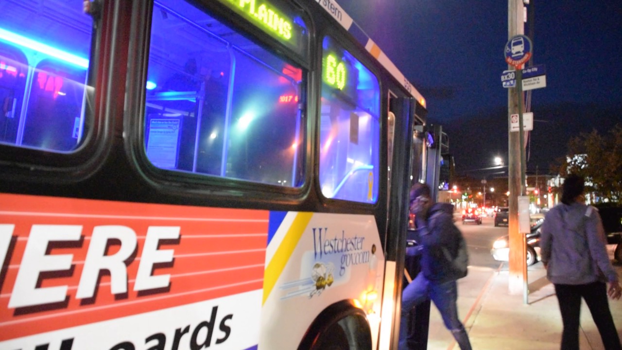 60-white-plains-bee-line-neoplan-an460-555-making-its-way-along