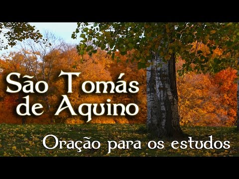 Oração - São Tomás de Aquino -  TV Arautos