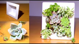 多肉植物の立体寄せ植え 制作動画 Succulent Planting 壁掛け型フレーム Youtube