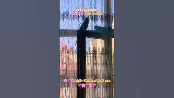 تلاوه عطره من الذكر الحكيم #quran  جمعه مباركه #birds #cutebird #foryou #اكسبلور