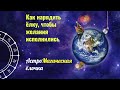 Как нарядить ёлку, чтобы желания исполнились - AstroМагическая ёлочка