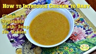 How to introduce chicken baby: & vegetable soup for babies , recipe 9
months, 10 11, 12 months toddlers find all out...