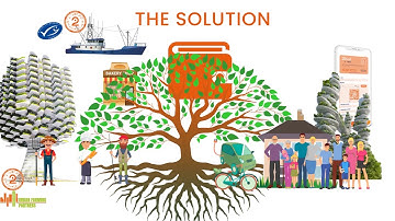 2local ICO Full Explanation Video| Dutch Version NL