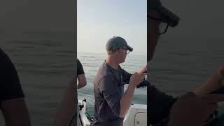 Flat Calm and lots of Bass!! Great fishing!! #fishing #boatfishing #fish #viral #fishinglife