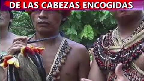 La historia de las cabezas reducidas