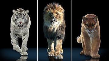 CGI 3D Models for Games, VR, Video Production & Rendering | PROmax3D