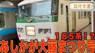 【185系・臨時快速】あしかが大藤まつり号（２号） 大宮駅に現れる…！？