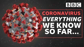 Coronavirus: Everything You NEED To Know - BBC