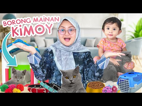 BUNDA PUNYA KUCING BARU NAMANYA KIMOY | AJAKIN LEXIE AMA TOMPEL BELANJA KEBUTUHAN KUCING