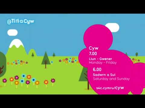 S4C Cyw - Startup (18th August 2015)