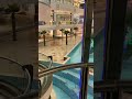 Flamingo Mall Jeddah Saudiarabia 