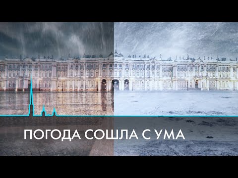 Температурные качели в Санкт-Петербурге. Что происходит с погодой?