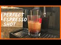 Pulling the Perfect Espresso Shot with Mr Coffee ECMP50 Espresso Machine