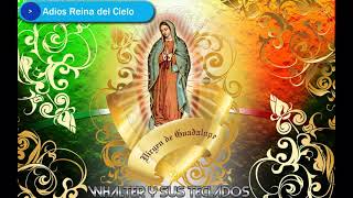 Adiós Reina del Cielo (alabanza) - Whalter y sus Teclados